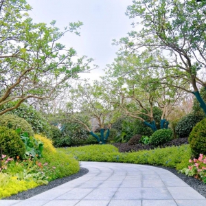 別墅庭院設(shè)計(jì)的后期如何養(yǎng)護(hù)隐形眼镜？